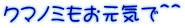 クマノミもお元気で＾＾