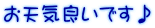 お天気良いです♪