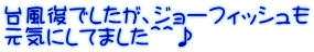 台風後でしたが、ジョーフィッシュも 元気にしてました＾＾♪