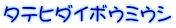 タテヒダイボウミウシ