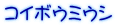 コイボウミウシ