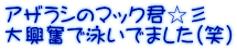アザラシのマック君☆彡 大興奮で泳いでました(笑)