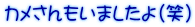 カメさんもいましたよ(笑)