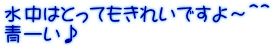 水中はとってもきれいですよ～＾＾ 青ーい♪