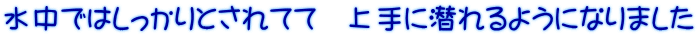 水中ではしっかりとされてて　上手に潜れるようになりました