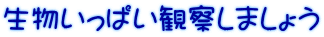 生物いっぱい観察しましょう