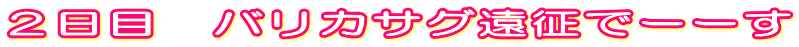 Qځ@oJTOŁ[[