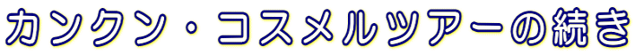 JNERXcA[̑