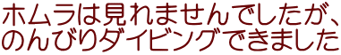 ホムラは見れませんでしたが、 のんびりダイビングできました