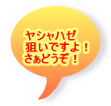 ヤシャハゼ 狙いですよ！ さぁどうぞ！ 