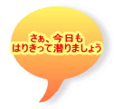 さぁ、今日も はりきって潜りましょう 