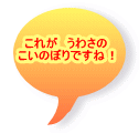 これが　うわさの こいのぼりですね！ 