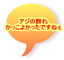 アジの群れ かっこよかったですねぇ 