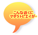 こんな近くに マダラトビエイが・