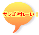 サンゴきれーい！