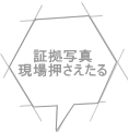 証拠写真 現場押さえたる