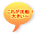 これが沈船！ 大きい～