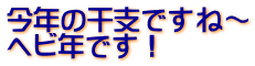 今年の干支ですね～ ヘビ年です！