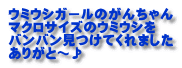 ウミウシガールのがんちゃん マクロサイズのウミウシを バンバン見つけてくれました ありがと～♪