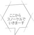 ここから　 スノーケルで いきまーす