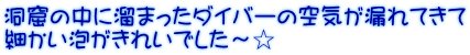 洞窟の中に溜まったダイバーの空気が漏れてきて 細かい泡がきれいでした～☆