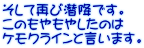 そして再び潜降です。 このもやもやしたのは ケモクラインと言います。