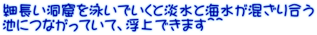 細長い洞窟を泳いでいくと淡水と海水が混ざり合う 池につながっていて、浮上できます＾＾