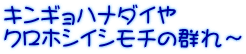 キンギョハナダイや クロホシイシモチの群れ～