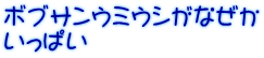 ボブサンウミウシがなぜか いっぱい