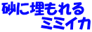 砂に埋もれる 　　　　ミミイカ