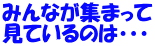 みんなが集まって 見ているのは・・・