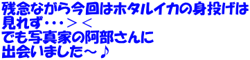 残念ながら今回はホタルイカの身投げは 見れず・・・＞＜ でも写真家の阿部さんに 出会いました～♪