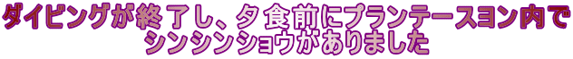 ダイビングが終了し、夕食前にプランテースヨン内で シンシンショウがありました 