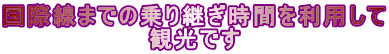 国際線までの乗り継ぎ時間を利用して 観光です