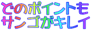 どのポイントも サンゴがキレイ 