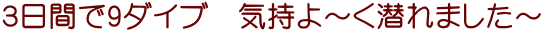 ３日間で9ダイブ　気持よ～く潜れました～