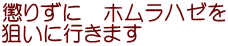 懲りずに　ホムラハゼを 狙いに行きます