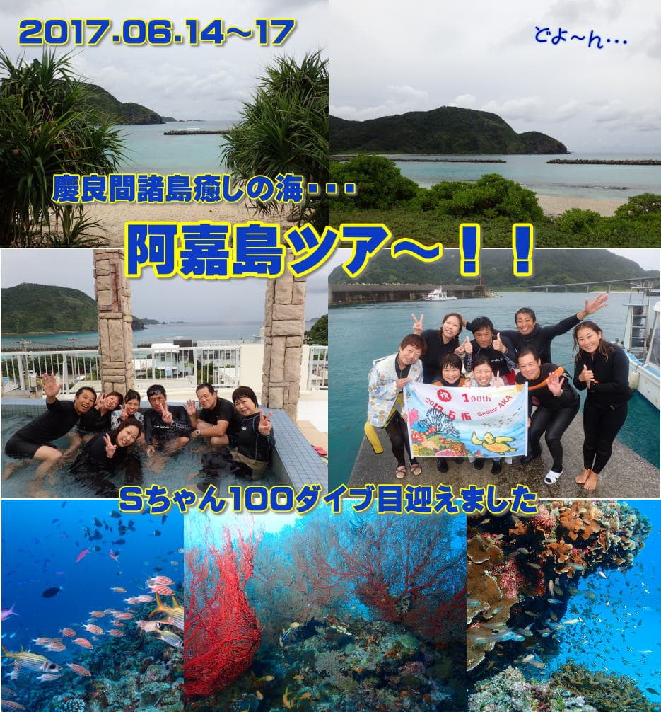 阿嘉島ダイビングツアー