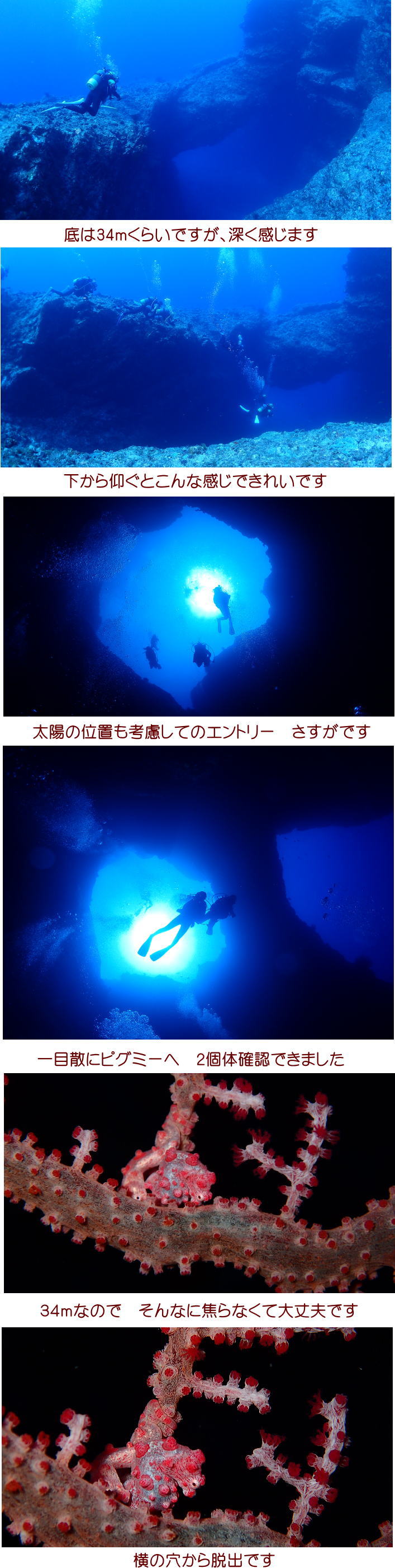 奄美大島・加計呂麻ダイビングツアー