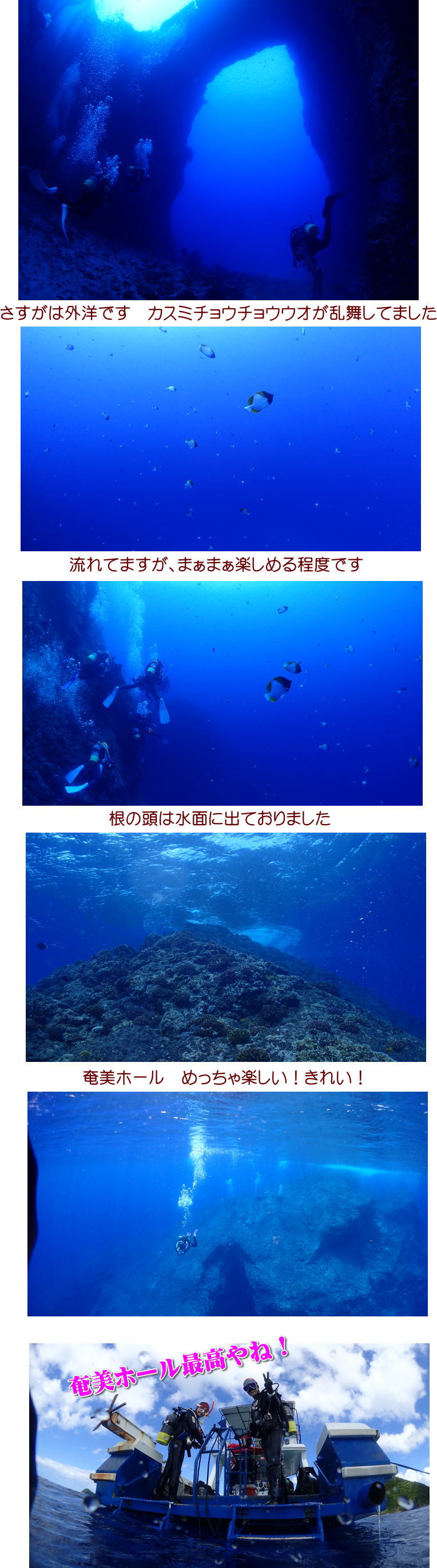 奄美大島・加計呂麻ダイビングツアー