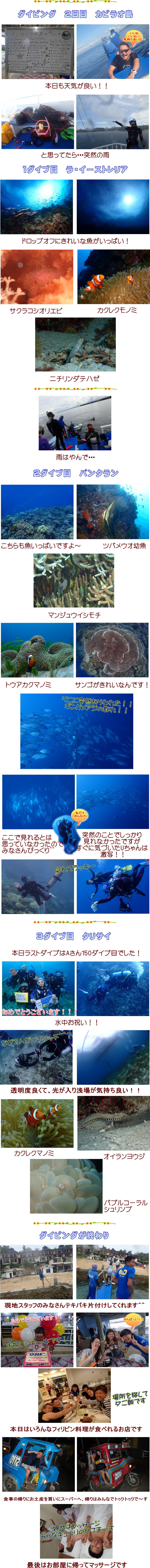 フィリピン・ボホールツアー