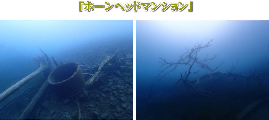 本栖湖アルチチュードダイビング