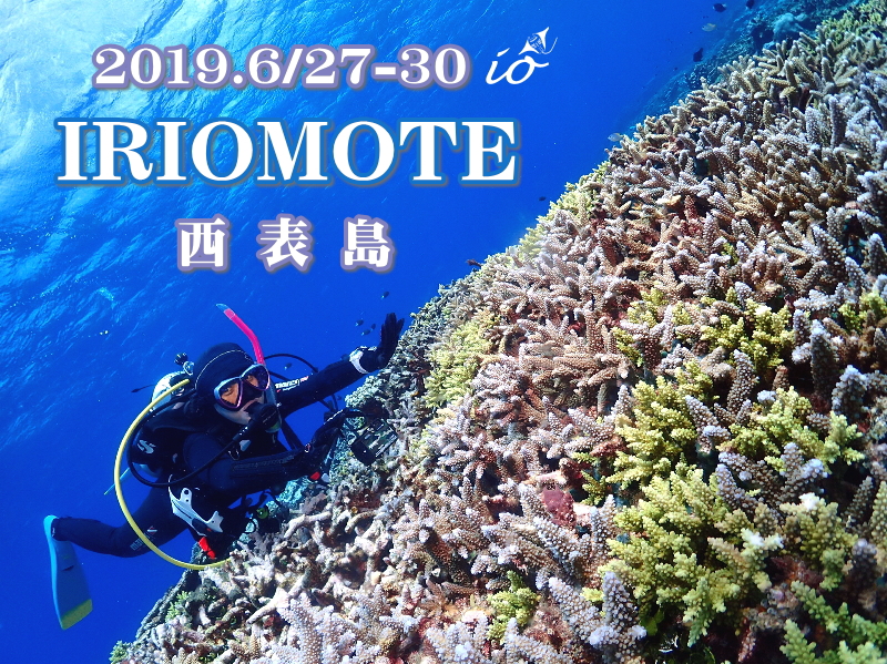 西表島ダイビング･イオ江坂