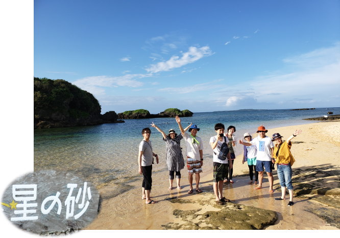西表島ダイビング･イオ江坂