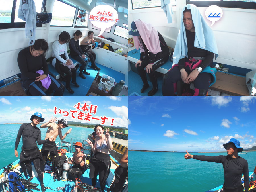 西表島ダイビング･イオ江坂
