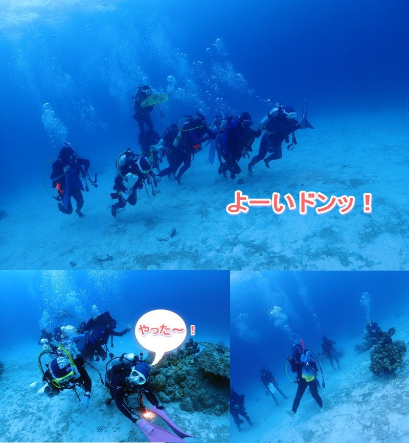 西表島ダイビング･イオ江坂