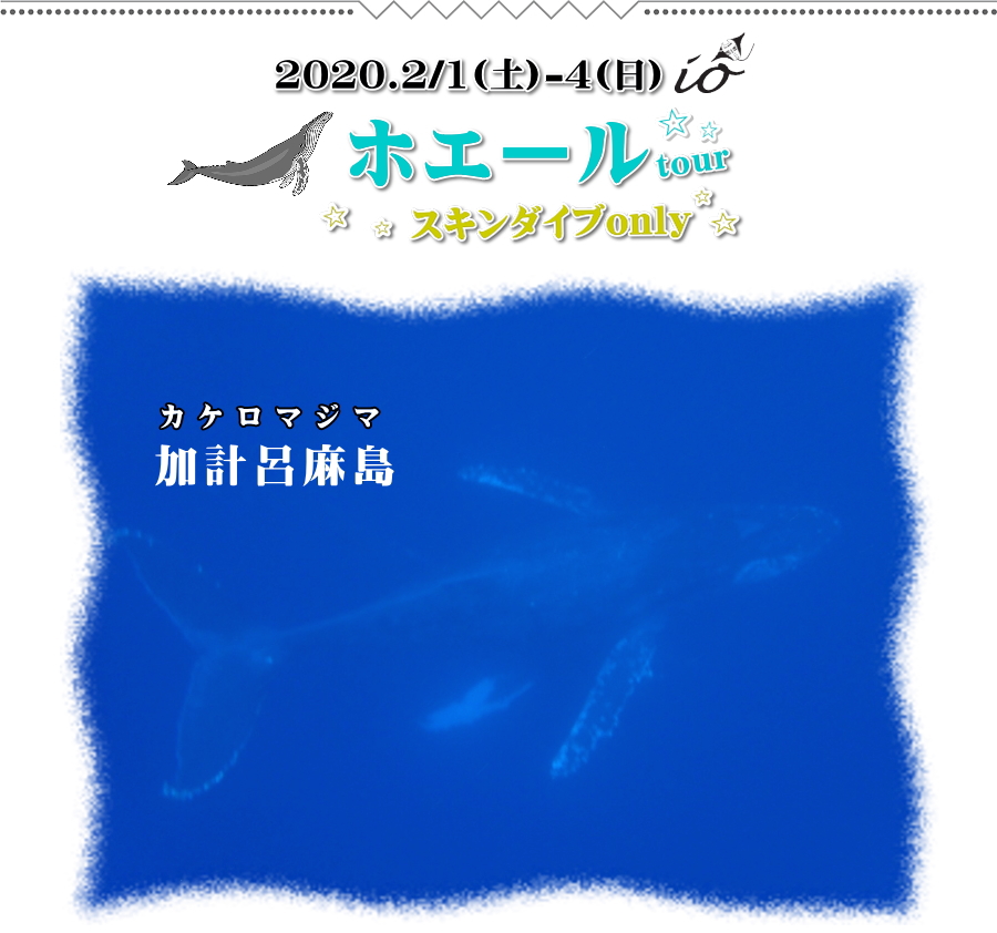 加計呂麻島ホエール/イオ江坂