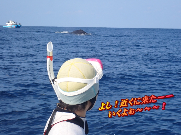 リロアンツアー/イオ江坂