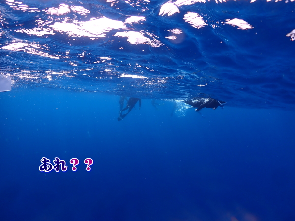 リロアンツアー/イオ江坂