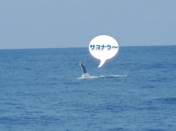 リロアンツアー/イオ江坂